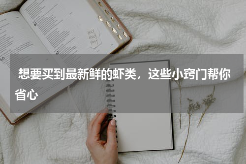  想要买到最新鲜的虾类，这些小窍门帮你省心   