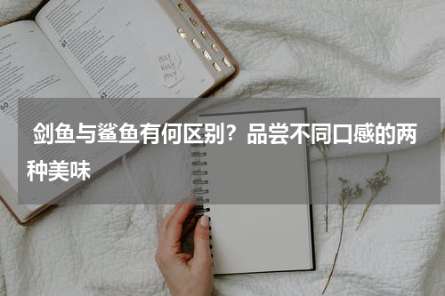  剑鱼与鲨鱼有何区别？品尝不同口感的两种美味   
