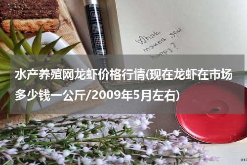 水产养殖网龙虾价格行情(现在龙虾在市场多少钱一公斤/2009年5月左右)