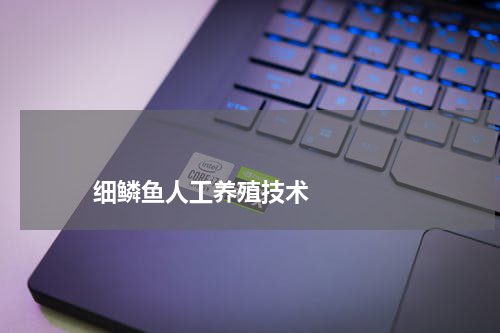 细鳞鱼人工养殖技术 版权与免责声明 推荐企业