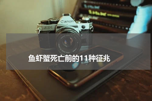 鱼虾蟹死亡前的11种征兆 版权与免责声明 推荐企业