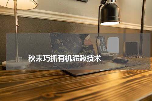 秋末巧抓有机泥鳅技术 版权与免责声明 推荐企业