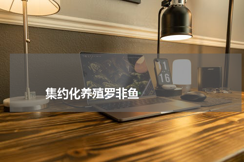 集约化养殖罗非鱼 版权与免责声明 推荐企业