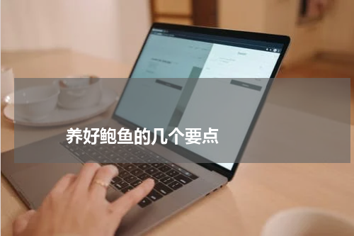 养好鲍鱼的几个要点 版权与免责声明 推荐企业