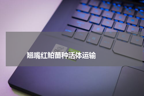 翘嘴红鮊苗种活体运输 版权与免责声明 推荐企业