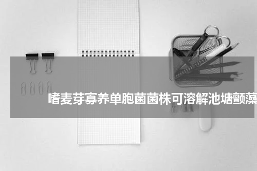 嗜麦芽寡养单胞菌菌株可溶解池塘颤藻 版权与免责声明 推荐企业