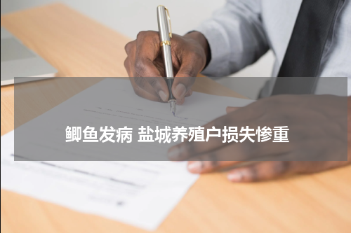 鲫鱼发病 盐城养殖户损失惨重 版权与免责声明 推荐企业