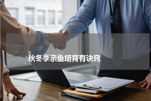 秋冬季亲鱼培育有诀窍 版权与免责声明 推荐企业