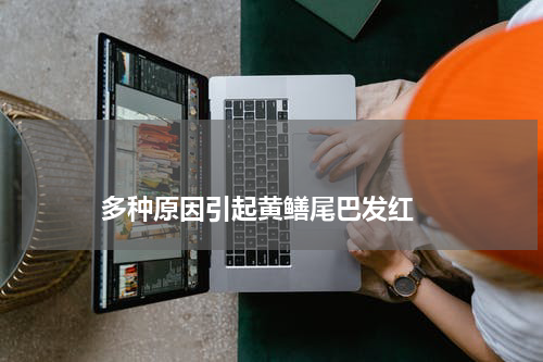                             多种原因引起黄鳝尾巴发红                                版权与免责声明                        推荐企业