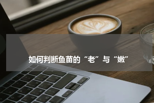                             如何判断鱼苗的“老”与“嫩”                                版权与免责声明                        推荐企业