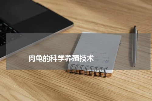                             肉龟的科学养殖技术                                版权与免责声明                        推荐企业