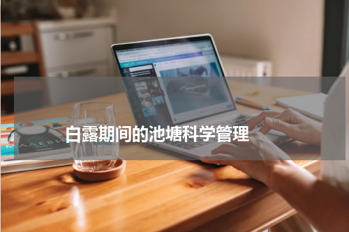                             白露期间的池塘科学管理                                版权与免责声明                        推荐企业