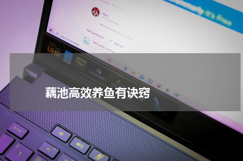                             藕池高效养鱼有诀窍                                版权与免责声明                        推荐企业